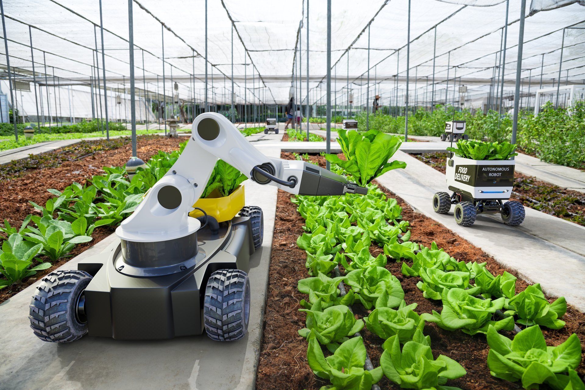Agriculture robotic and autonomous car working in smart farm