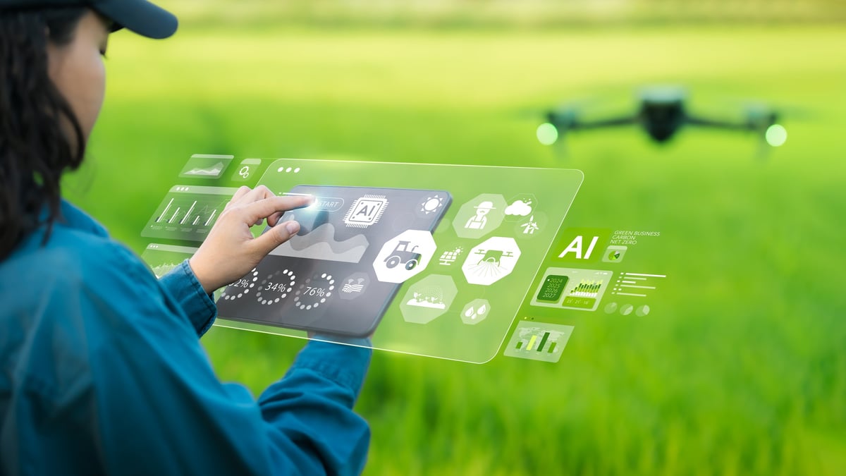 Young farmer woman is inspecting and controlling a drone in a green wheat field