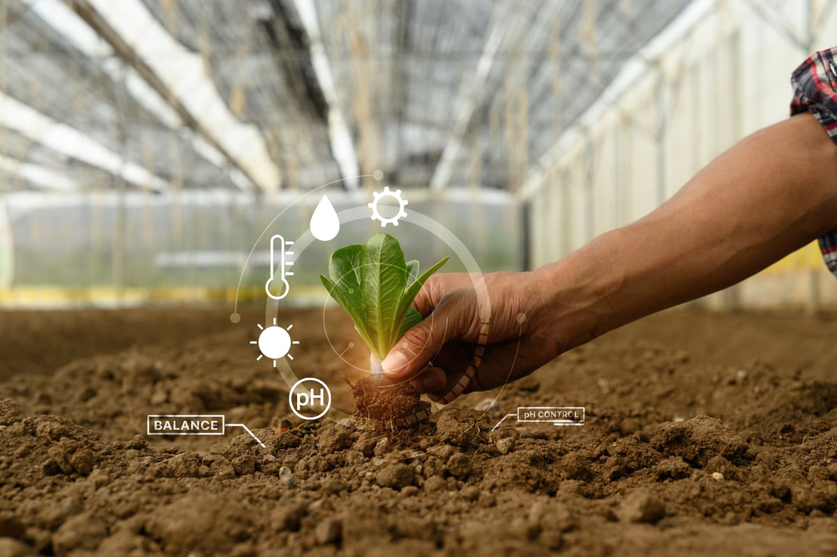 Farmer holding young seeding with digital smart farming interface