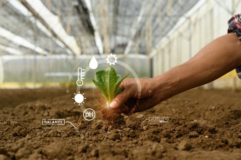 Farmer holding young seeding with digital smart farming interface