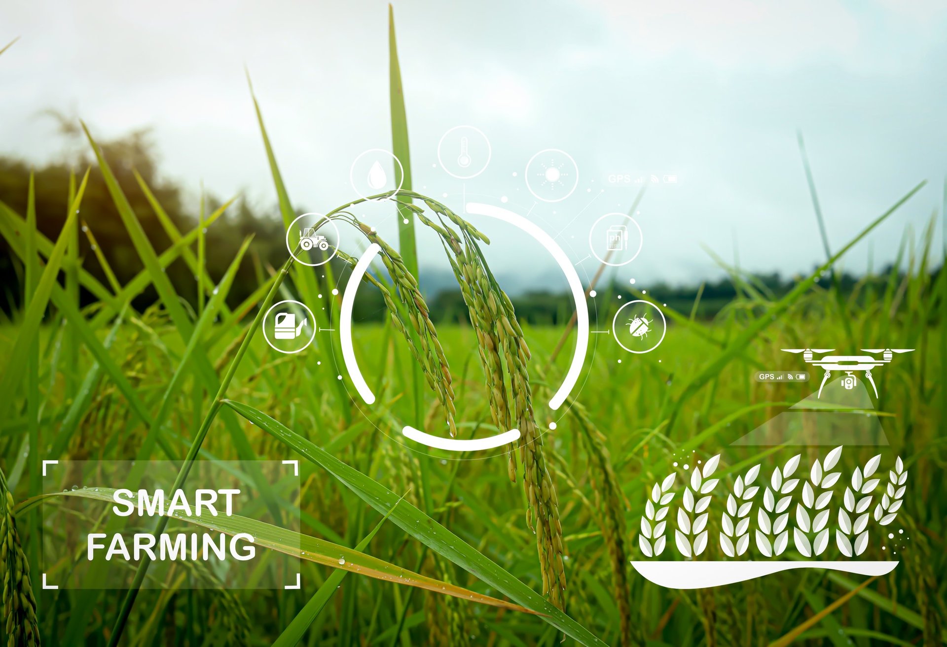 Smart farming and agricultural technology concept using IoT, drones, and data analytics for precision farming